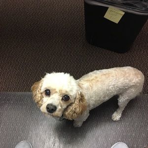 Meet your Posher, Rc